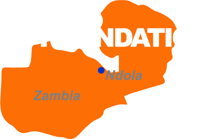 Logo bezwa wit